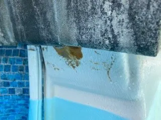 Affordable residential landscaping for residential properties in Chattanooga, TN by Riley Construction & Hardscapes