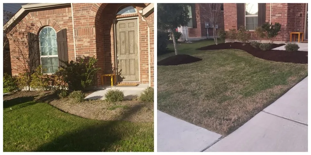 Reliable lawn care service in Buda, TX by Riley Landscaping And Design