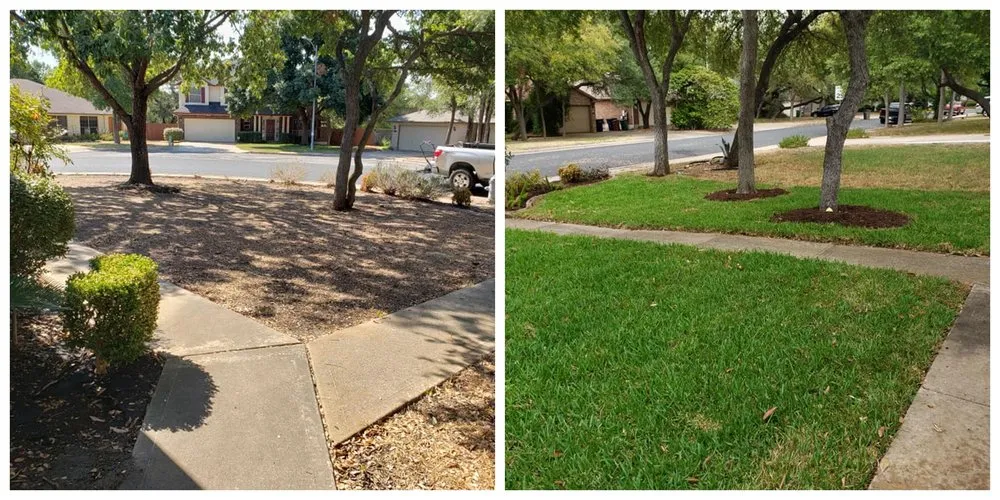 Reliable landscape installation for residential properties across Buda, TX - Riley Landscaping And Design