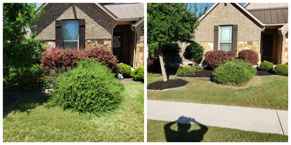 Trusted landscaping services for residential properties in Buda, TX by Riley Landscaping And Design