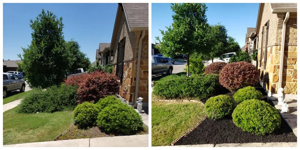 Top-rated yard maintenance in Buda, TX by Riley Landscaping And Design