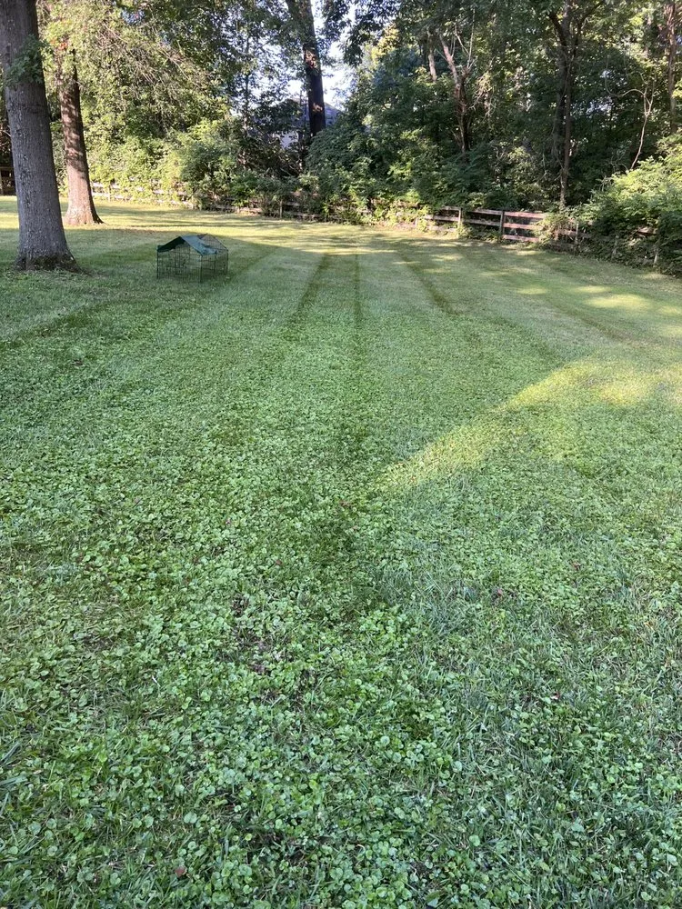 Top-rated lawn care service in Morrow, OH by Riley Lawn and Landscaping