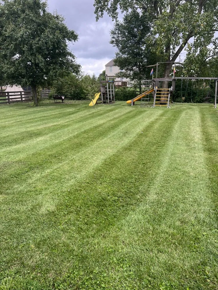 Affordable yard cleanup service in Morrow, OH by Riley Lawn and Landscaping