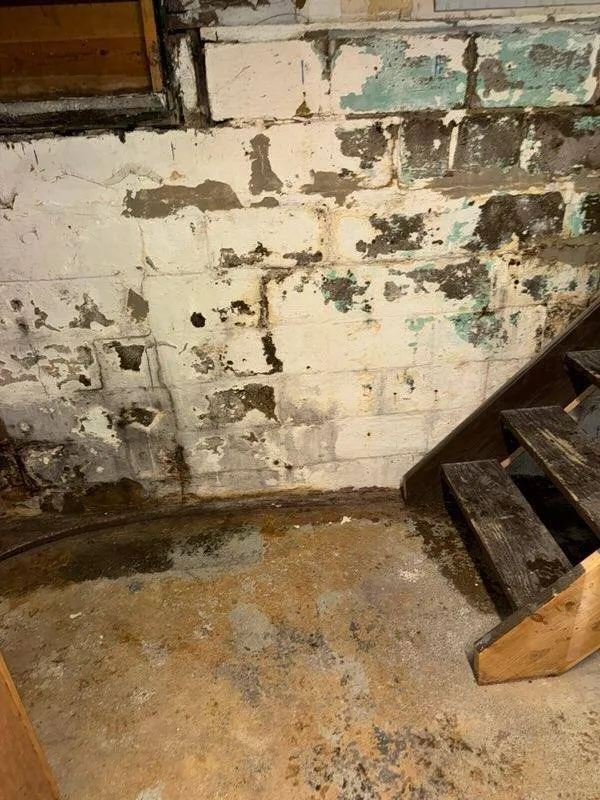 Top-rated residential landscaping in Youngstown, NY by Riley O'Brien Tree and Landscaping Services