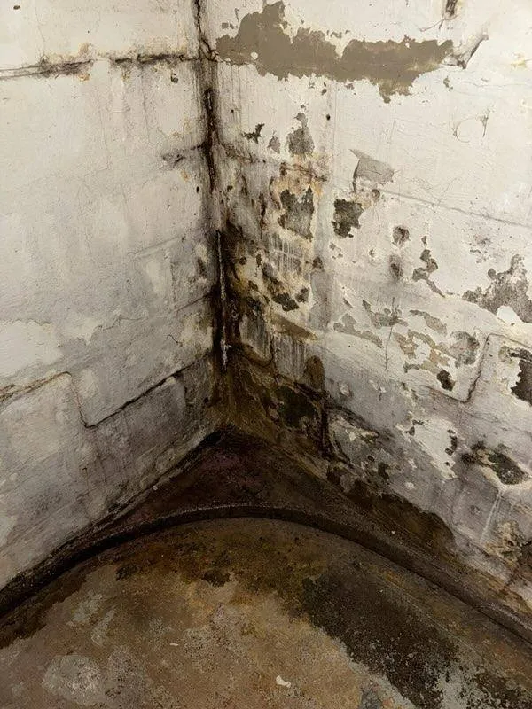 Expert garden landscaping with custom design across Youngstown, NY - Riley O'Brien Tree and Landscaping Services