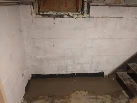 Riley O'Brien Tree and Landscaping Services