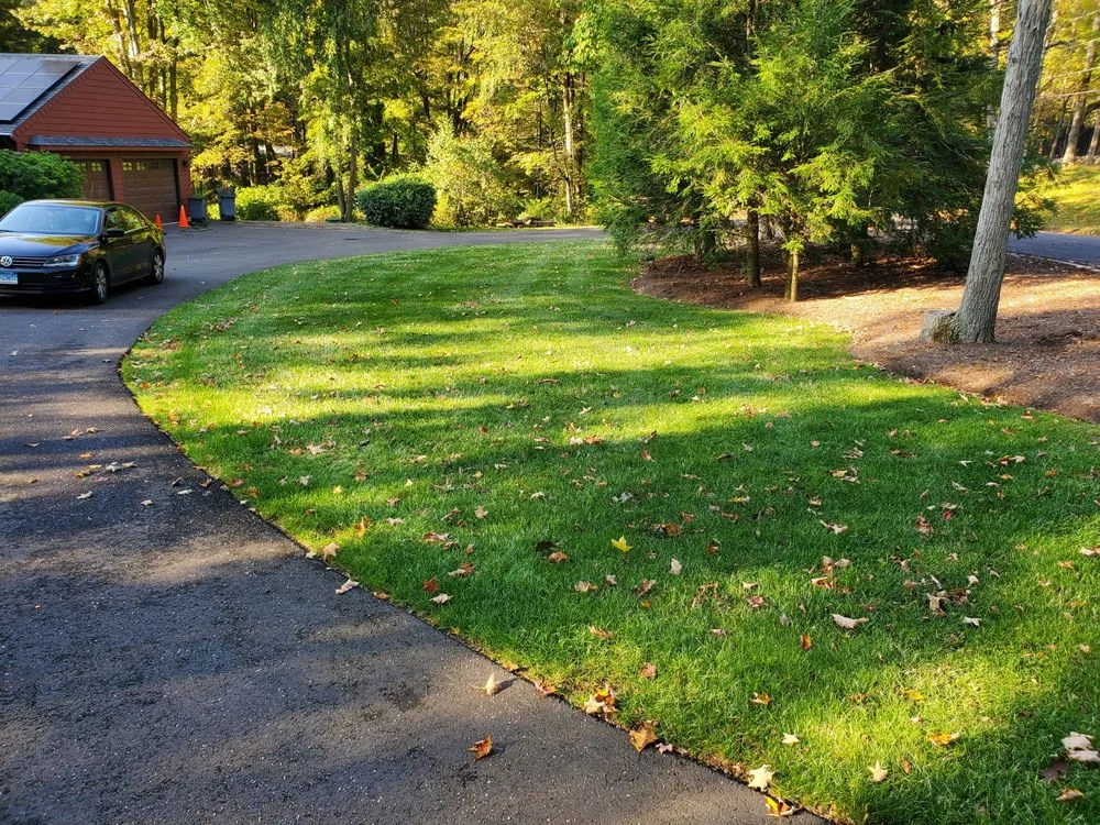 Custom landscape installation experts serving Naugatuck, CT - Riley Tree & Landscaping