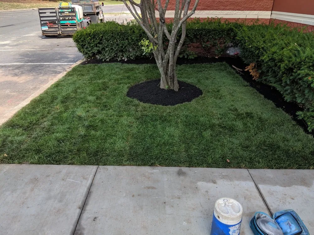 Professional yard cleanup service for outdoor upgrades across Naugatuck, CT - Riley Tree & Landscaping