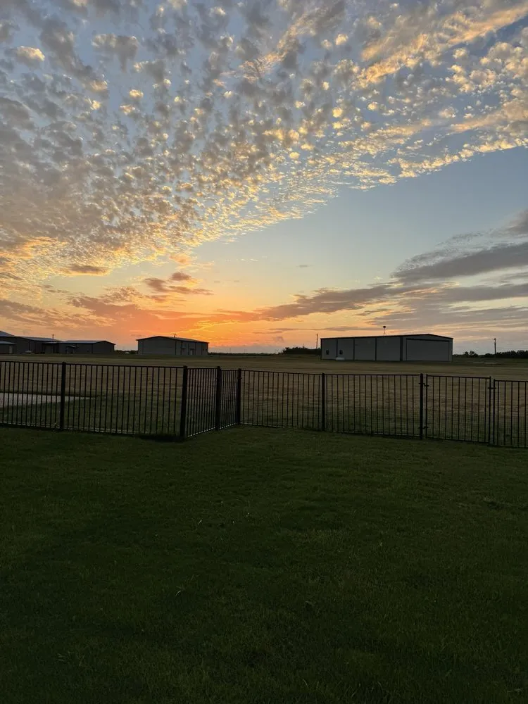 Top-rated yard cleanup service with custom design in Abilene, TX by Riley Webb’s lawn services