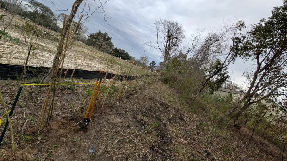 Trusted lawn care service in Baton Rouge, LA - Riley's Curb Appeal