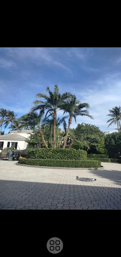 Local residential landscaping in Atlanta, GA - Riley's Hauling and landscaping