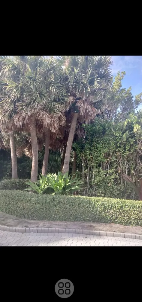 Expert landscaping services with custom design in Atlanta, GA by Riley's Hauling and landscaping