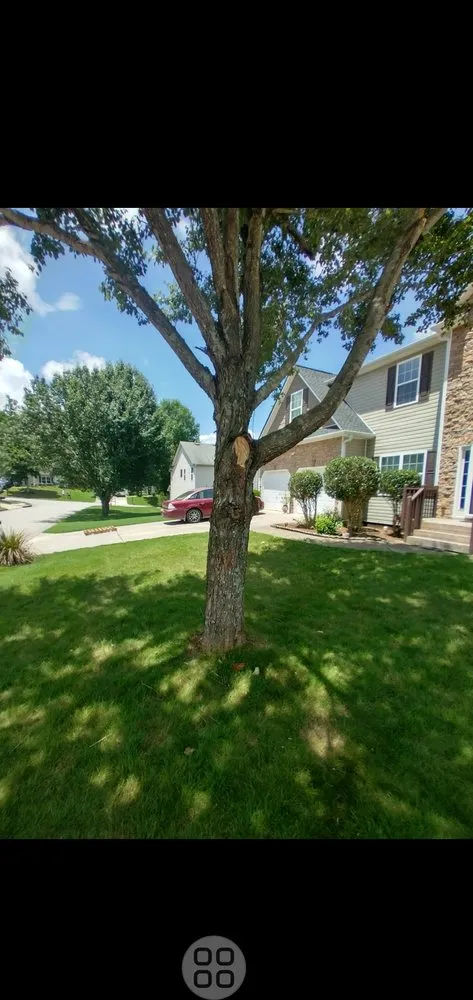 Reliable lawn mowing service in Atlanta, GA - Riley's Hauling and landscaping