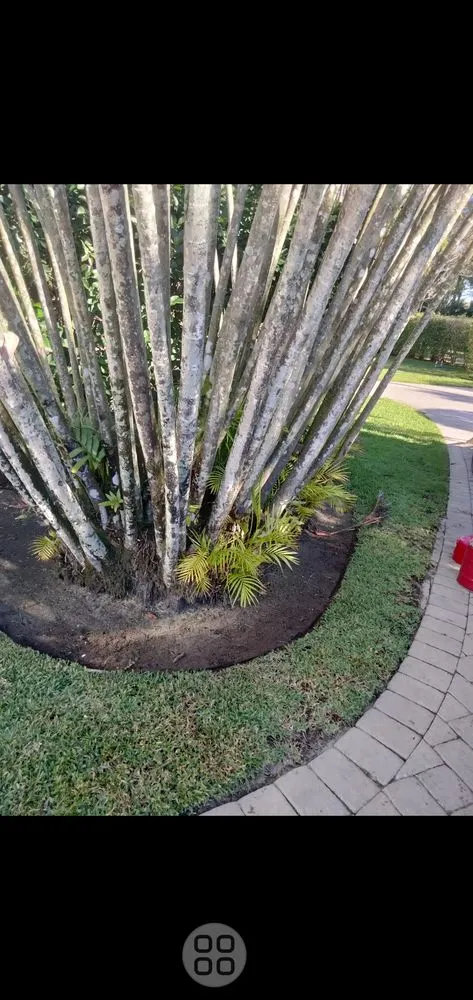 Professional residential landscaping experts serving Atlanta, GA - Riley's Hauling and landscaping