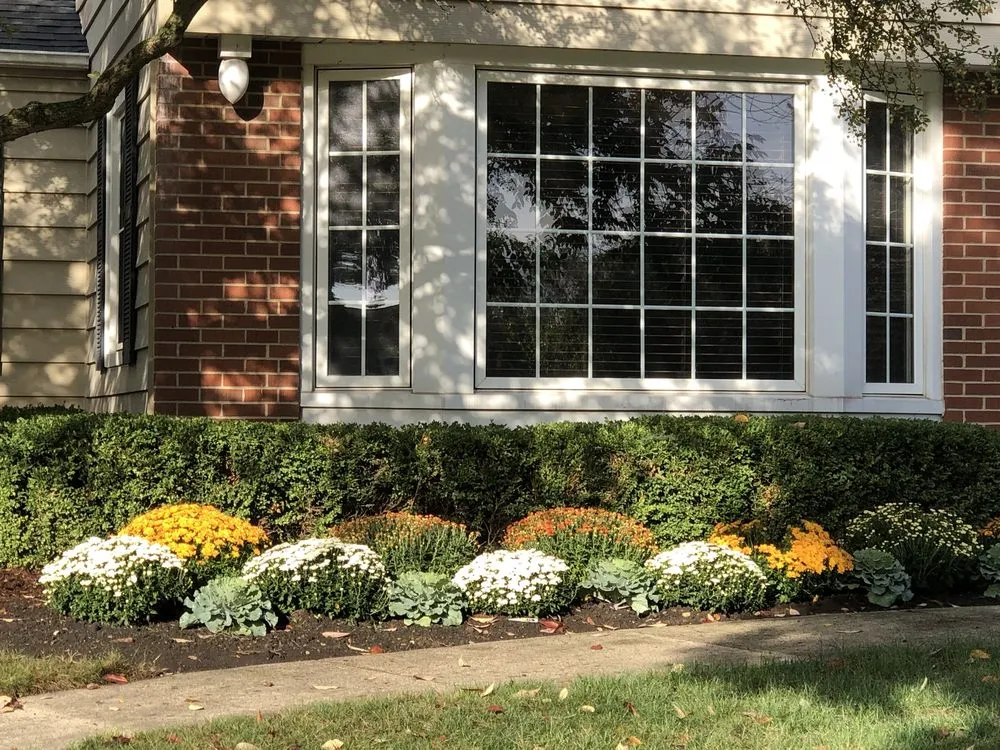 Local yard cleanup service in Aurora, IL - Riley's Lawn & Snow
