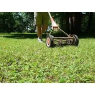 Local lawn mowing service for year-round maintenance in Aurora, IL by Riley's Lawn & Snow