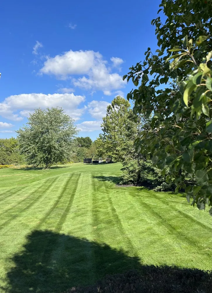 Top-rated yard maintenance experts serving Hudsonville, MI - Rileys Lawn and Landscape
