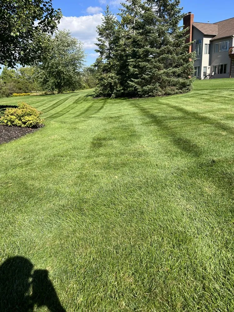 Top-rated yard cleanup service near you across Hudsonville, MI - Rileys Lawn and Landscape