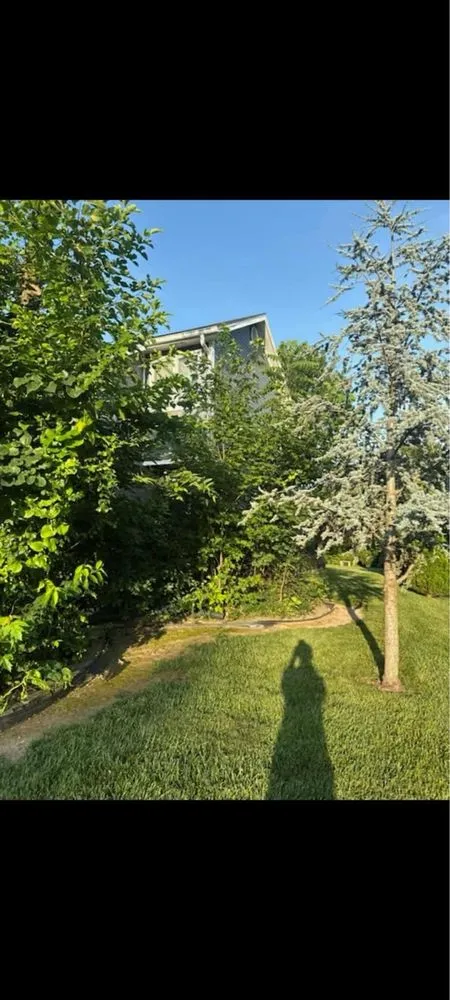 Local garden landscaping experts serving Joplin, MO - Riley‘s Lawn Care and More