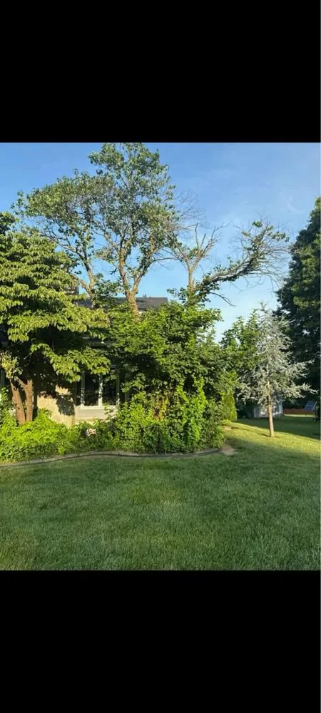 Local outdoor landscaping in Joplin, MO by Riley‘s Lawn Care and More