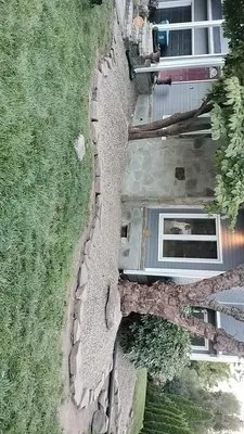 Riley‘s Lawn Care and More