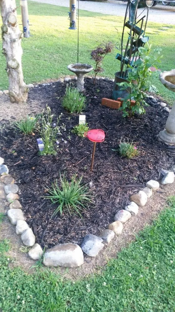 Custom yard maintenance near you in Nashville, NC by Riley's Lawn Care