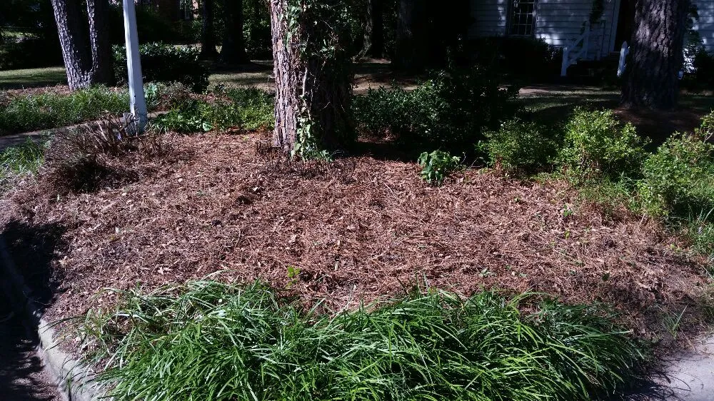 Trusted outdoor landscaping in Nashville, NC - Riley's Lawn Care