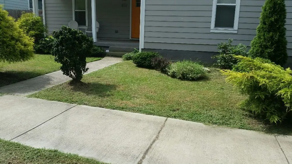 Expert landscape installation with custom design across Nashville, NC - Riley's Lawn Care