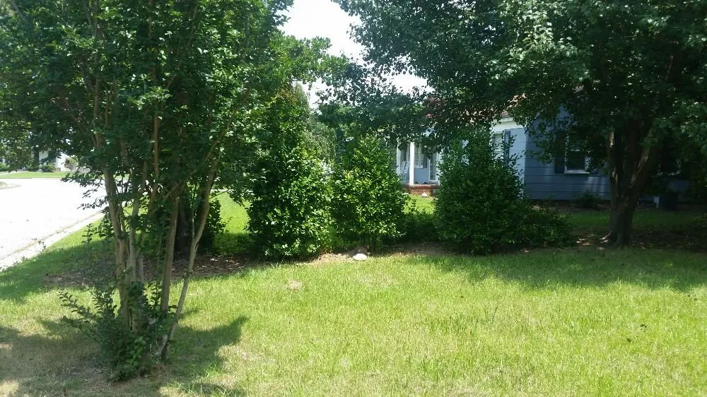 Professional landscaping services in Nashville, NC by Riley's Lawn Care