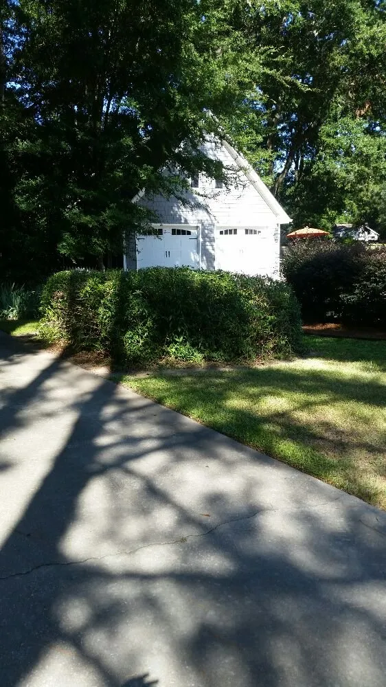 Expert yard maintenance for outdoor upgrades in Nashville, NC by Riley's Lawn Care