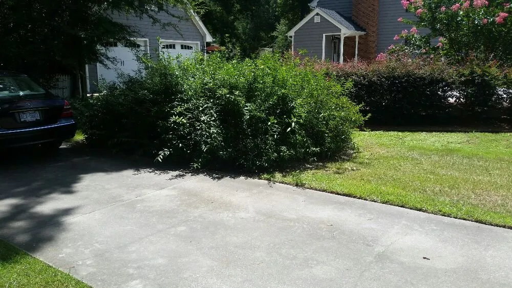 Expert landscape design in Nashville, NC - Riley's Lawn Care