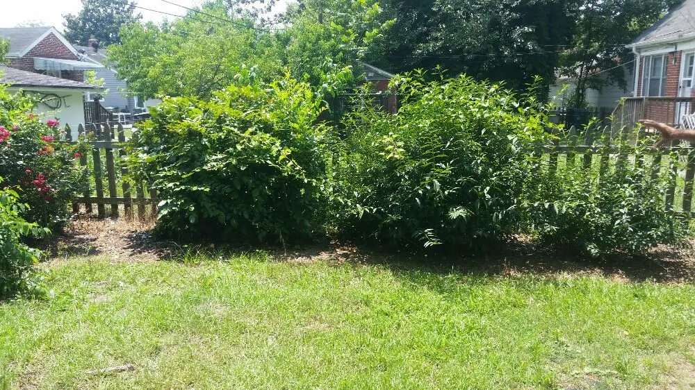 Reliable residential landscaping near you in Nashville, NC by Riley's Lawn Care