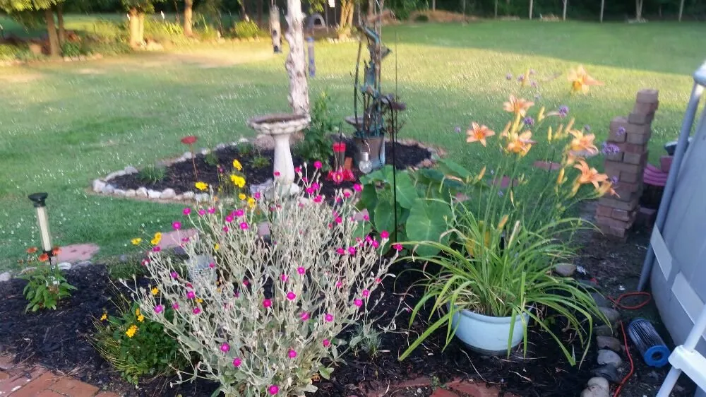 Local landscape design in Nashville, NC - Riley's Lawn Care