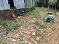 Trusted landscaping services for year-round maintenance across Abbeville, SC - Riley’s Lawnmowing And More