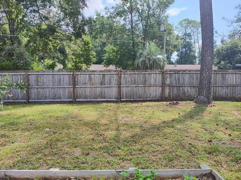 Trusted landscaping services for beautiful yards in Tallahassee, FL by Rileys Outdoor Services