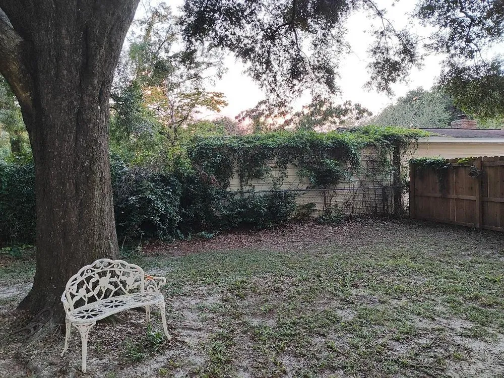 Expert residential landscaping for outdoor upgrades in Tallahassee, FL by Rileys Outdoor Services