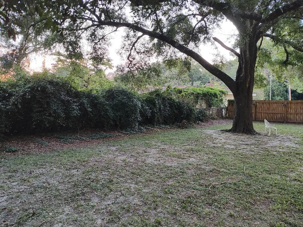 Top-rated lawn mowing service experts serving Tallahassee, FL - Rileys Outdoor Services