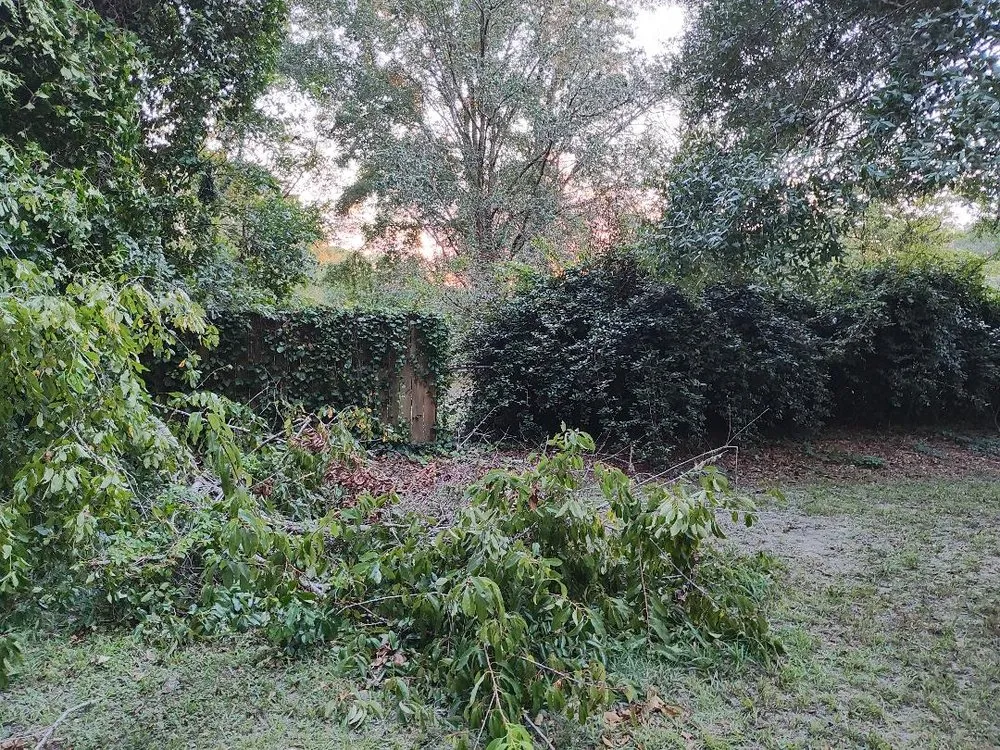 Professional yard cleanup service with custom design across Tallahassee, FL - Rileys Outdoor Services
