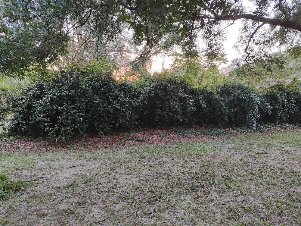 Professional lawn mowing service in Tallahassee, FL - Rileys Outdoor Services