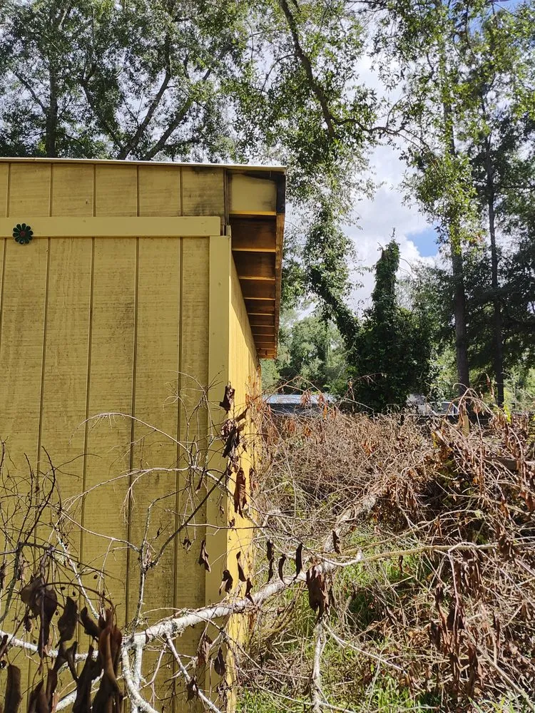 Reliable outdoor landscaping experts serving Tallahassee, FL - Rileys Outdoor Services