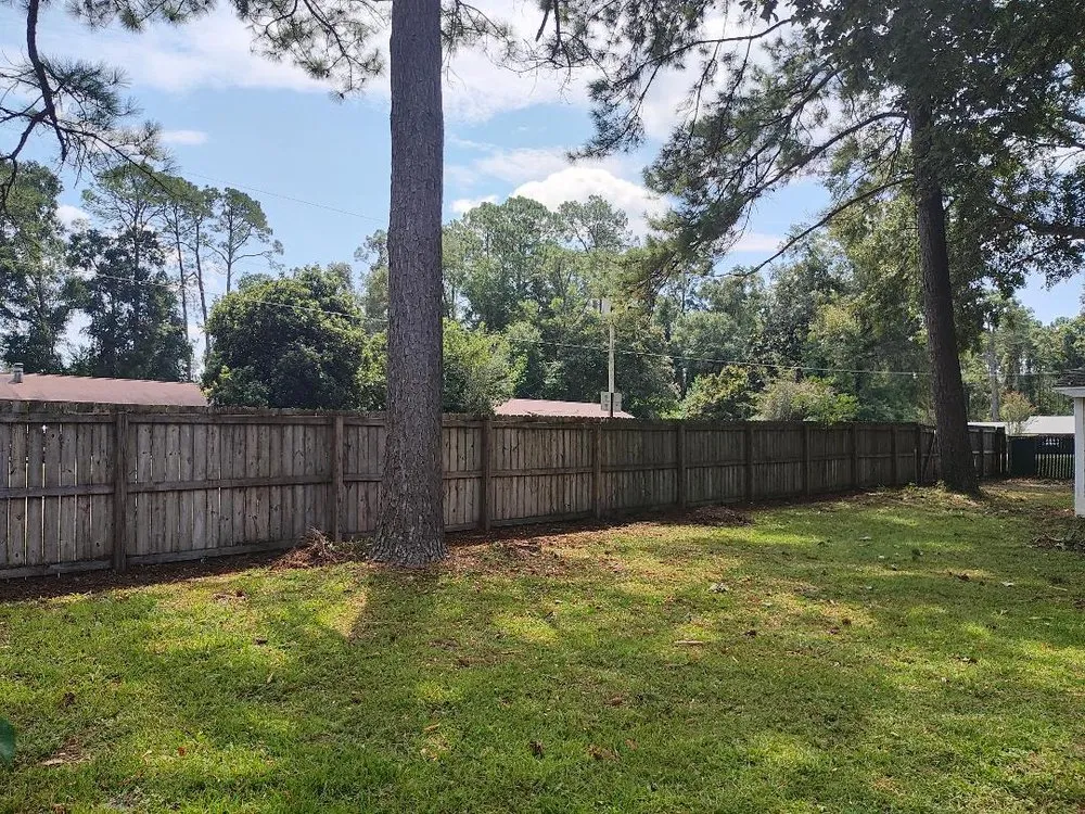 Expert yard maintenance in Tallahassee, FL by Rileys Outdoor Services