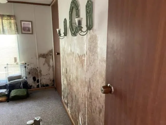 Local residential landscaping for outdoor upgrades in Covington, LA by Riley's Property Maintenance