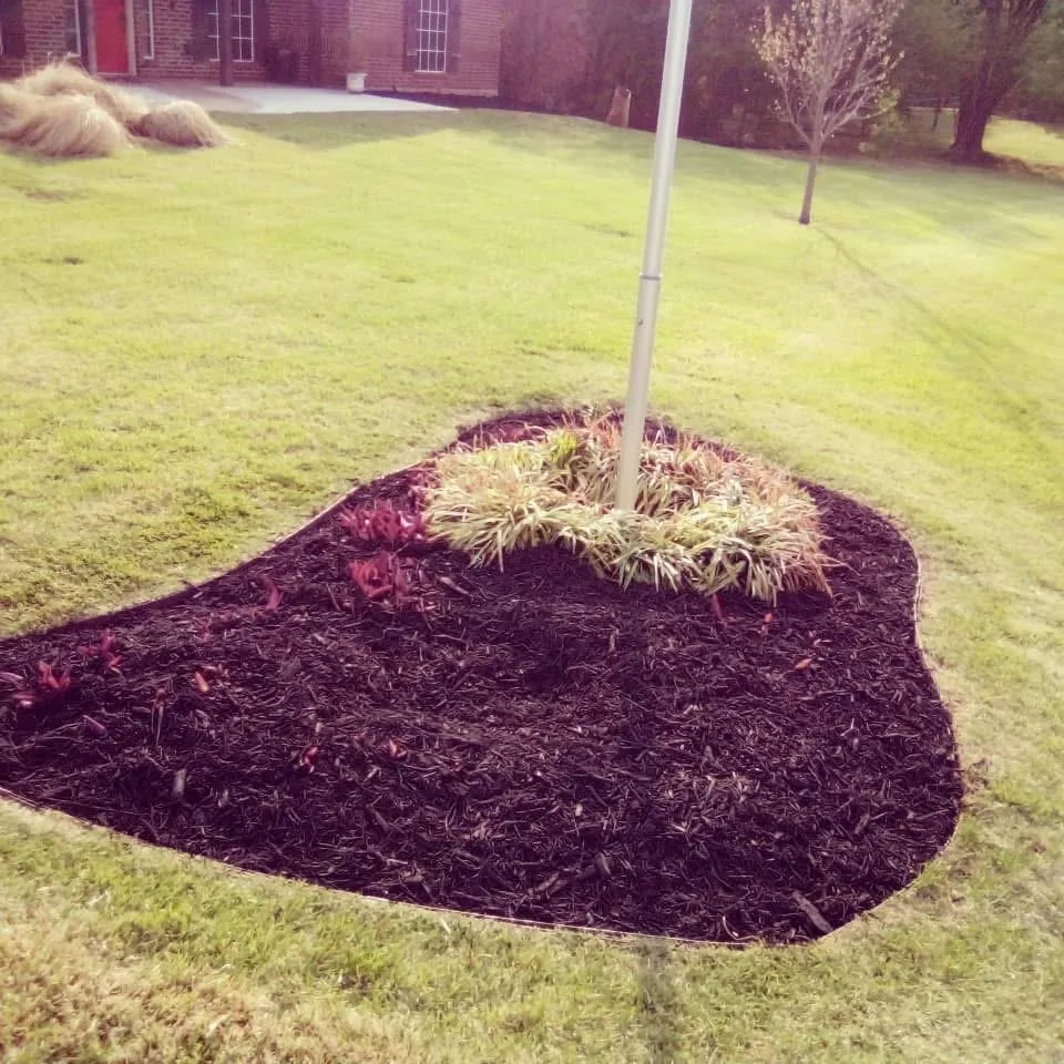 Top-rated yard cleanup service for residential properties across Covington, LA - Riley's Property Maintenance