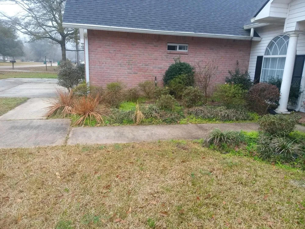 Professional outdoor landscaping for residential properties across Covington, LA - Riley's Property Maintenance