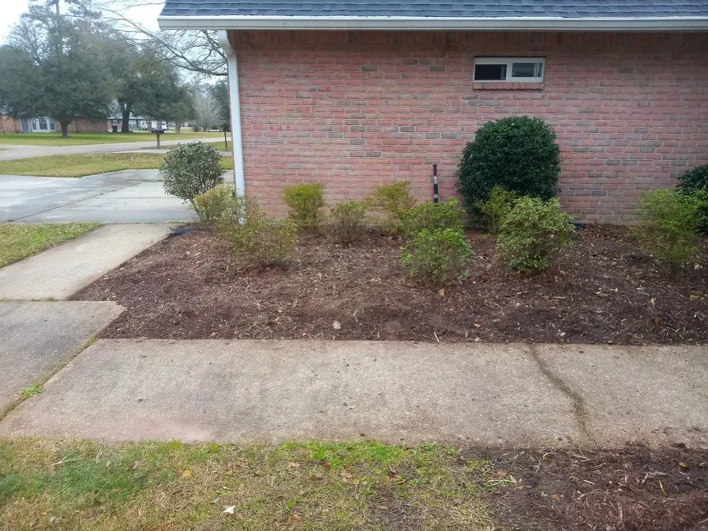 Local lawn mowing service experts serving Covington, LA - Riley's Property Maintenance