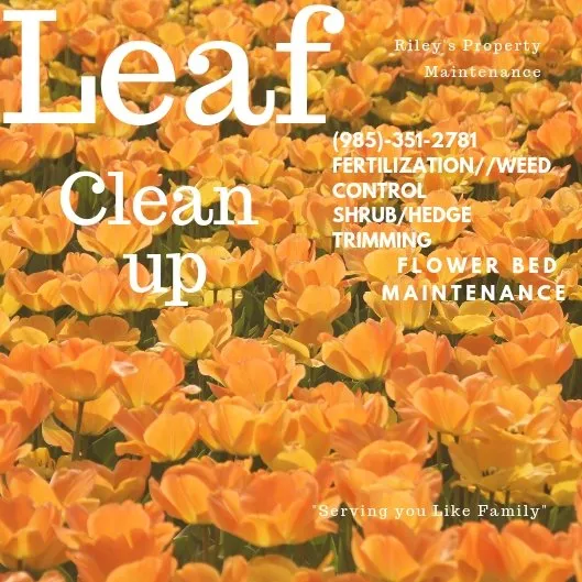 Trusted landscape design in Crowley, TX by Rileys Property Maintenance