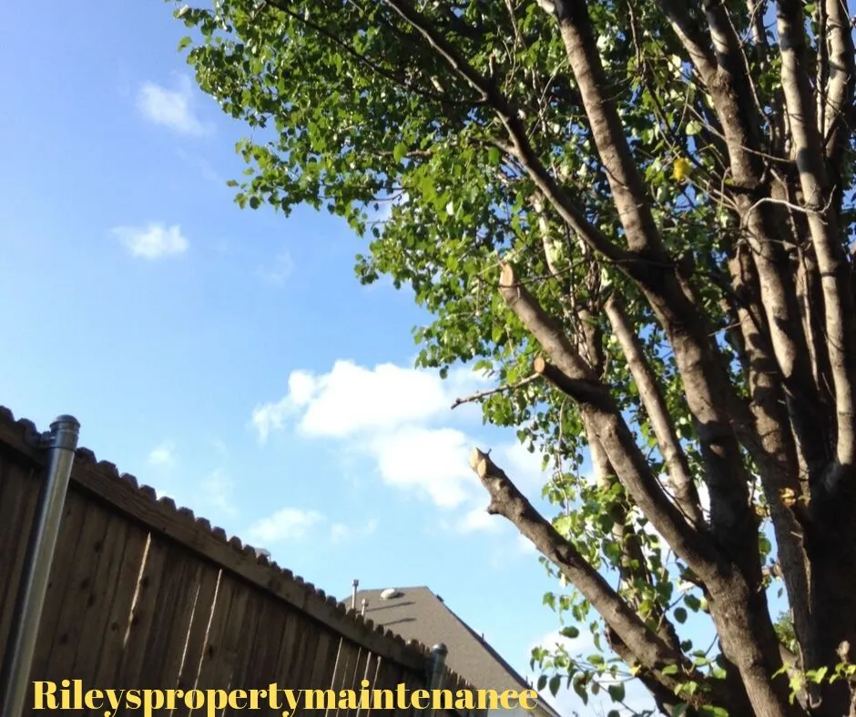 Reliable landscaping services in Crowley, TX - Rileys Property Maintenance