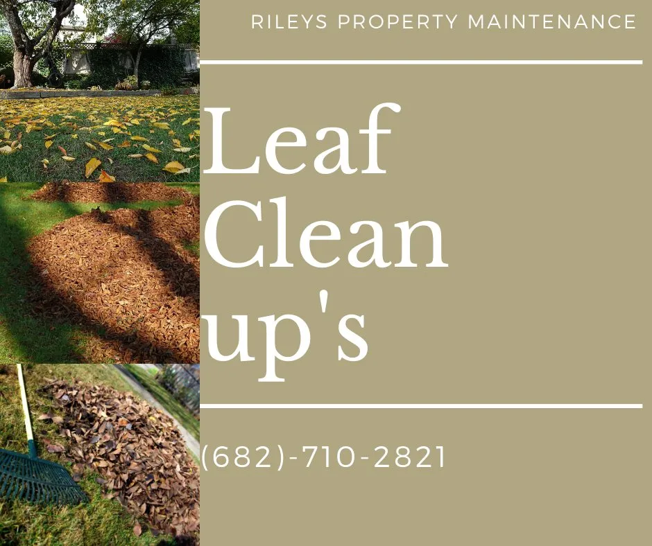 Trusted lawn care service in Crowley, TX by Rileys Property Maintenance
