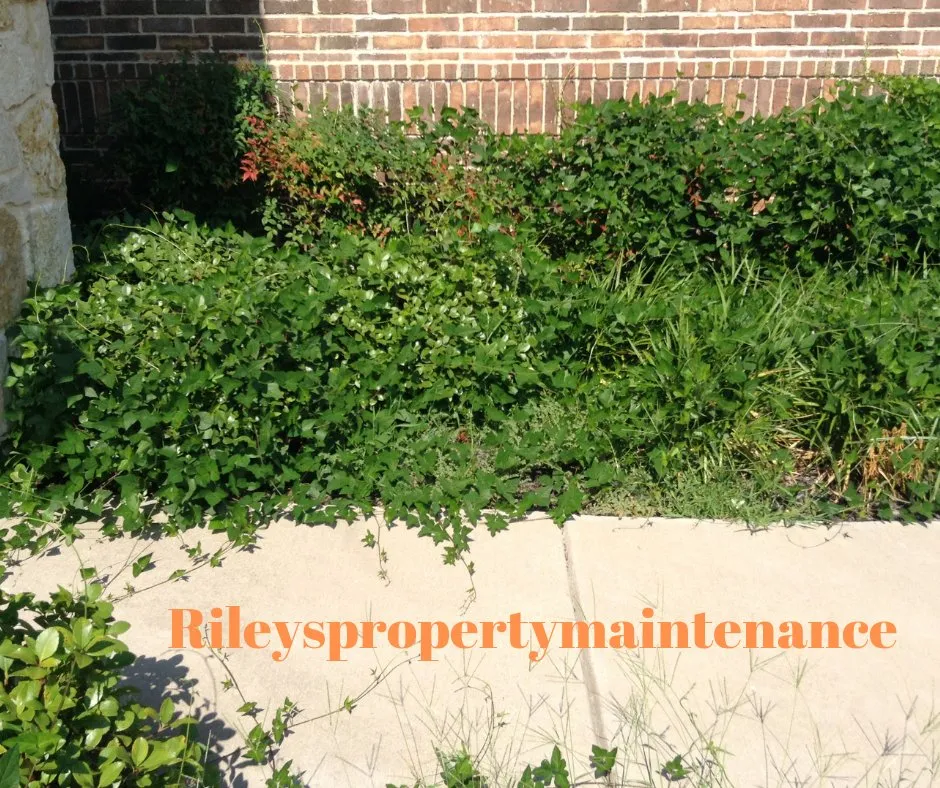 Top-rated landscaping services for residential properties across Crowley, TX - Rileys Property Maintenance