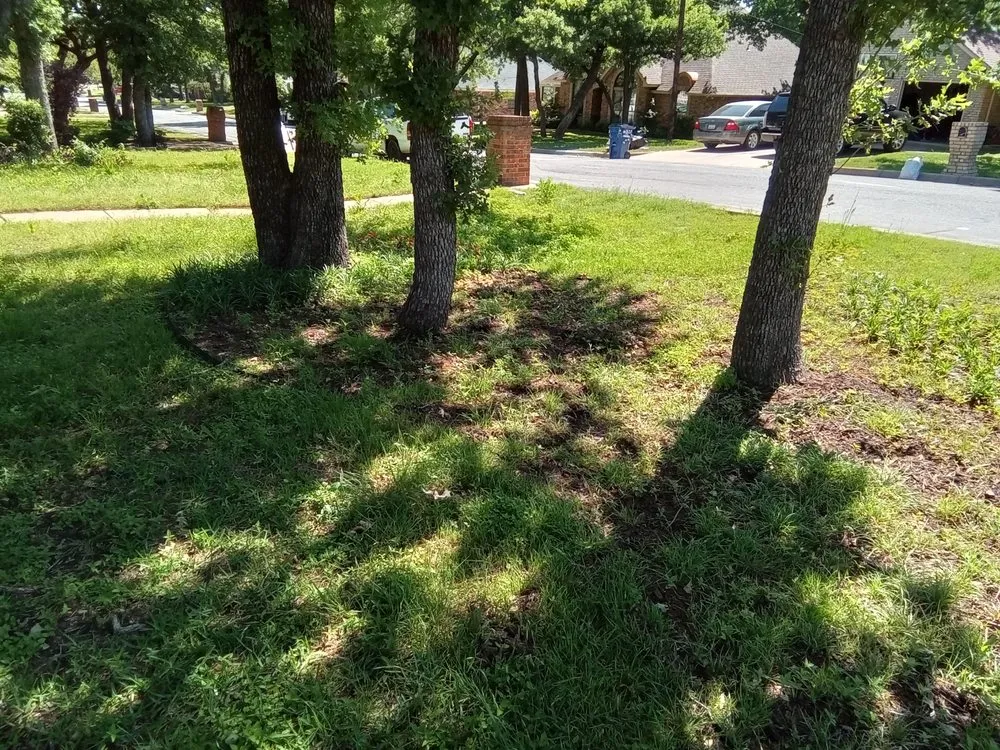 Top-rated garden landscaping for homes in Crowley, TX by Rileys Property Maintenance